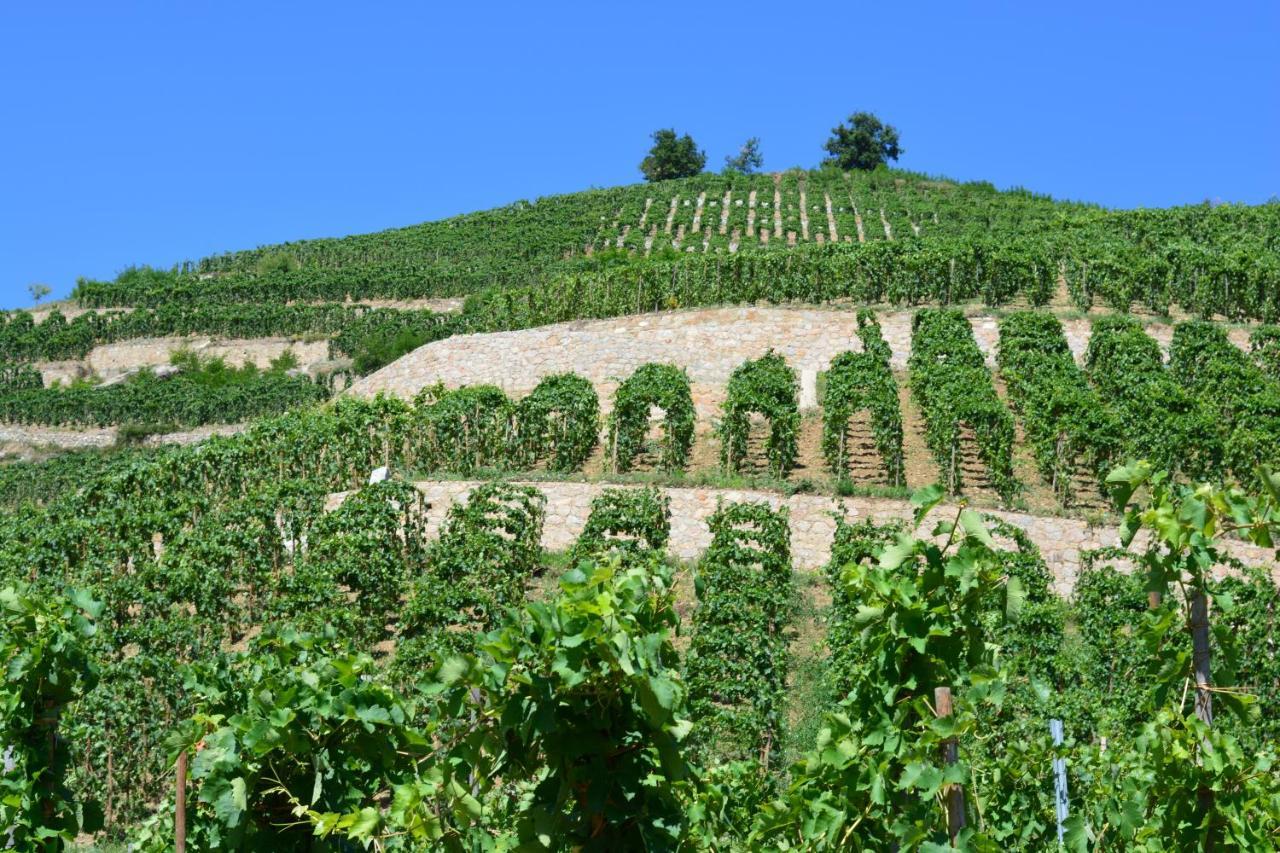 lamaisondemamere Tournon-sur-Rhone Extérieur photo