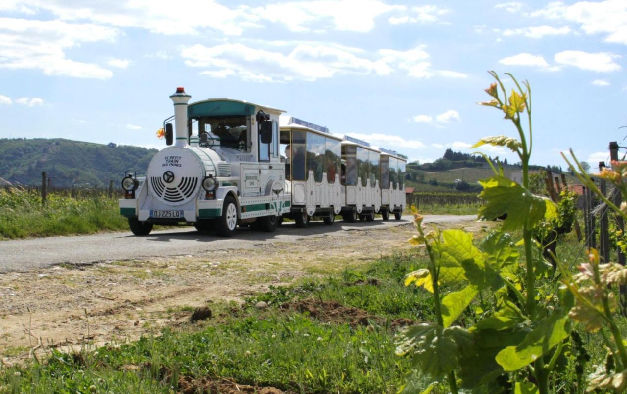 lamaisondemamere Tournon-sur-Rhone Extérieur photo